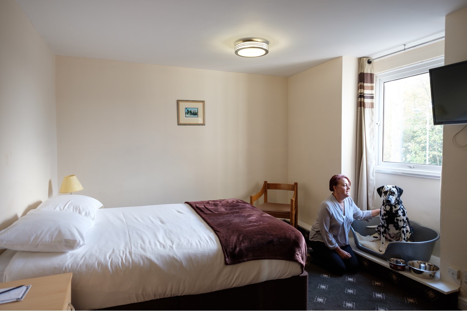 Dog Friendly Room Photo Gallery The Cathedral Hotel